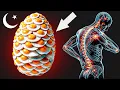 AVOID EGGS IF You Are On THESE Medications