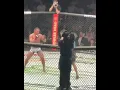Michael Chandler KNOCKS OUT Tony Ferguson
