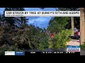 Several trees down in Quincy due to wind customers without power