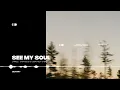 Lynnic, ItsArius, Courtney Storm - See My Soul