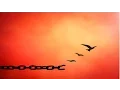 Forgiveness Guided Meditation - Forgive others forgive yourself By Jason Stephenson
