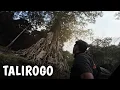 Download Lagu MISTERI KELAM TALIROGO TIRAI DUNIA LAIN!