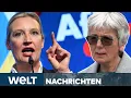 DEUTSCHLAND: Brandmauer ist gefallen! Antrag der Grünen erhält Mehrheit durch AfD | WELT STREAM