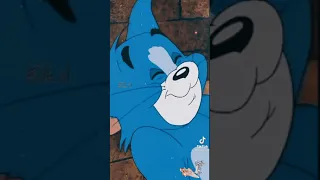 أغنية قلبى حبيب قلبى بدمنو 