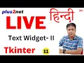 Mastering the Tkinter Text Widget Insert Delete and Count Techniques