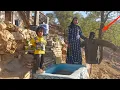 Download Lagu A Busy Day in the Mountains: Cleaning the Cave and Building Scarecrow by Grandma and the Orphan Girl
