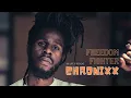 Chronixx - Freedom Fighter
