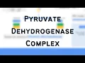 Pyruvate Dehydrogenase Complex