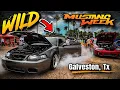 MUSTANG WEEK GALVESTON TX 2026 Full Tour Wild Moments