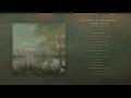 Denis Stelmakh - Reunion