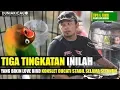 Download Lagu nurDUKI : TIGA TINGKATAN Inilah Yang Bikin Love Bird KONSLET DUCATI Stabil Selama SETAHUN