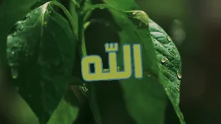 هل لك سر عند الله دندنها