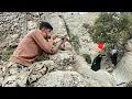 Download Lagu Shooting in the mountains, Ramin's attempt to destroy Afshin's mother 🪓