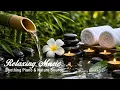 Relaxation Music Bamboo Water Fountain Healing Piano Sleep Music Meditation and Nature Sounds
