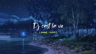 Download Dj c'est la vie 🎧 slowed - reverb 2022 || Dj viral tiktok || Dj c'est la vie take away (petuah nada) MP3