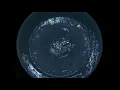Butterfly song  -  played on crystal singing bowls by Danny Becher