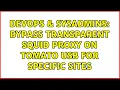DevOps SysAdmins Bypass transparent Squid proxy on Tomato USB for specific sites 2 Solutions