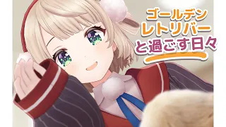 しぐれうい、念願のいぬを飼う【ゴールデンレトリバーと過ごす日々】