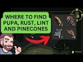Where to Find Upper Yard Resources in Grounded Pupa Rust Lint Pinecone