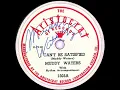 Muddy Waters - I Can't Be Satisfied (1948)
