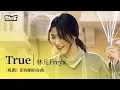 Lagu 【影視劇ost】林凡Freya | True 《軋戲》影視劇宿命曲 Love Between Lines OST#陳星旭 #盧昱曉 #軋戲