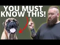 3 THINGS TO KNOW BEFORE GETTING A BULLMASTIFF