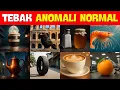 Download Lagu Tebak HEWAN BRAINROT tapi Semuanya NORMAL | tralalero tralala, Chimpanzini Bananini | AIExploration