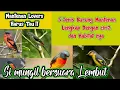 Download Lagu Mengenal 5 Jenis Burung Mantenan