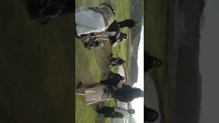 تجاوز جنسی طالب بالای طالب Rape Taliban On Taliban 