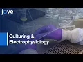 Culturing Electrophysiology Of Cells On NRCC Patch-Clamp Chips l Protocol