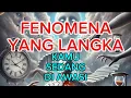 Download Lagu JIWA TERPILIH:KENYATAAN YANY MENCENGANGKAN ANDA SEDANG DI AWASI SEBAGAI FENOMENA YANG LANGKA