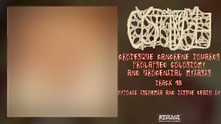 Download Cystgurgle - Grotesque Gangrene Towards Prolapsed Colostomy... FULL ALBUM (2018-Goregrind/Gorenoise) MP3