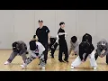 Hoshi X Woozi (Seventeen) - '96ers' Dance Practice [MIRRORED]