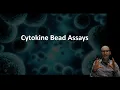 Download Lagu How does a cytokine bead assay work?