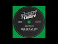 Right To Life - Hold On To My Love (Micky More & Andy Tee Mix)