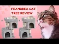 Feandrea Cat Tree Review