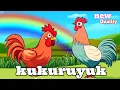 Download Lagu kukuruyuk | lagu anak indonesia versi baru ~ ayam berkokok dan ayam kukuruyuk