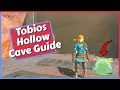Tobios Hollow Cave Guide Bubbul Frog Location in Zelda Tears of the Kingdom
