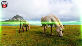 تدب الروح في جسدي موسى العميري ابوعلي 