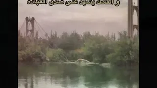 عنوان الإرادة دندنها