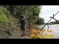 Lagu Mancing Di air keruh Berburu Ikan Sidat Dan Ikan Mahal