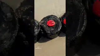 Life Doodles Smashing A Tomato With Your Foot On The Beach Lifedoodles Animation Cartoon 