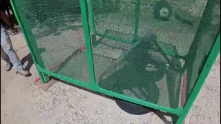                                 دندنها