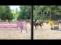 IMG 1287
