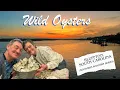 May River Oysters in Bluffton SC A True Lowcountry Experience