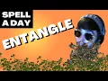 ENTANGLE Druid Net - Spell A Day D D 5E 1