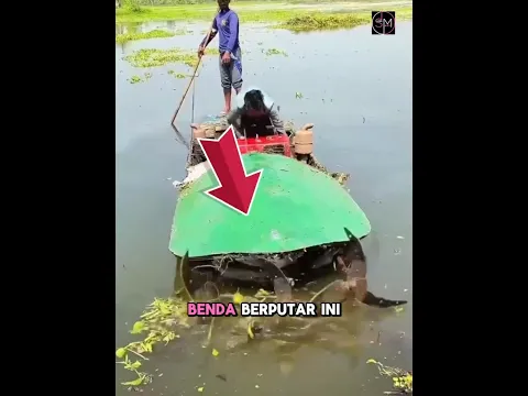 Bagaimana cara mereka memotong rumput di rawa