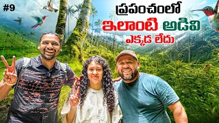  Beautiful Cocora Valley Colombia 🇨🇴 | Pereira | Wax Palm Tree's 🌴 | Uma Telugu Traveller