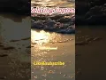 Download Lagu mind relaxing ringtone #freedownload  #youtubeshorts #sadsong  #music #mooratchannel #shortsvideo