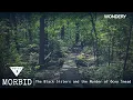 The Black Sisters and the Murder of Ocey Snead Morbid Podcast